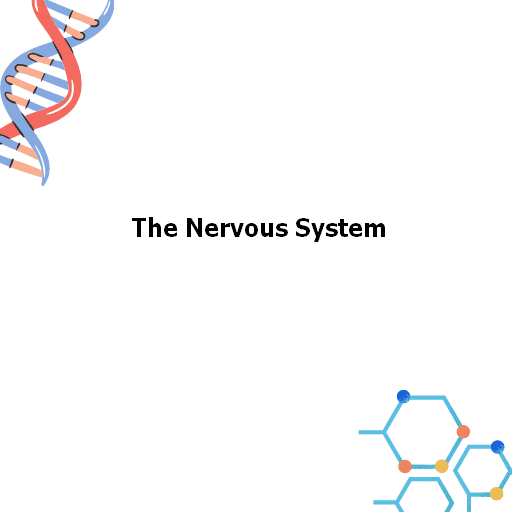 The Nervous System